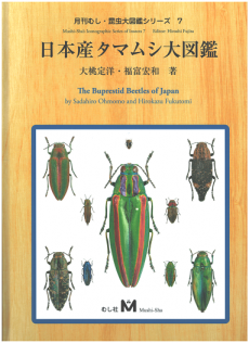 昆虫図鑑のイメージ